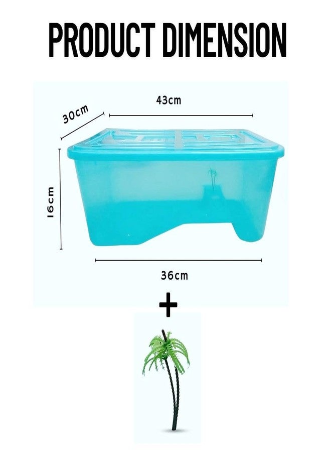 PET FUN حوض أسماك PET FUN للسلاحف مع غطاء | موطن للسلاحف، جراد البحر، الزواحف، وسرطانات الناسك | منحدر للتشمس، منطقة سباحة، وخزنة مع نظام لمنع الهروب (بدون ملحقات) (متوسط) - Image 2